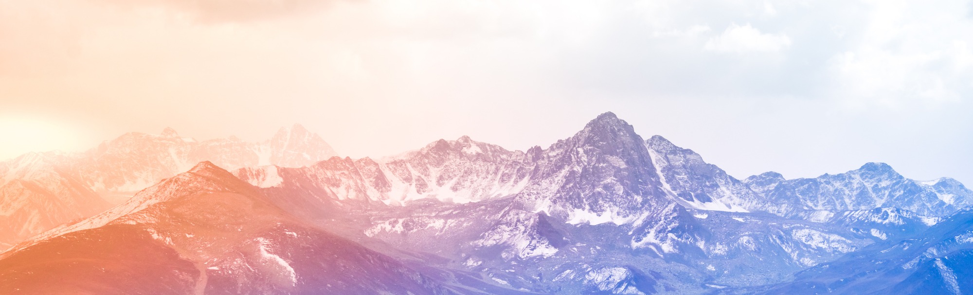 Emerging Leaders Initiative